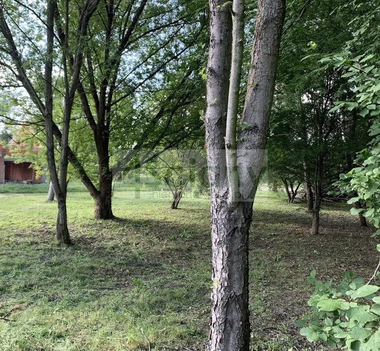 Działka budowlana 1094 m², Kanie - zdjęcie 5