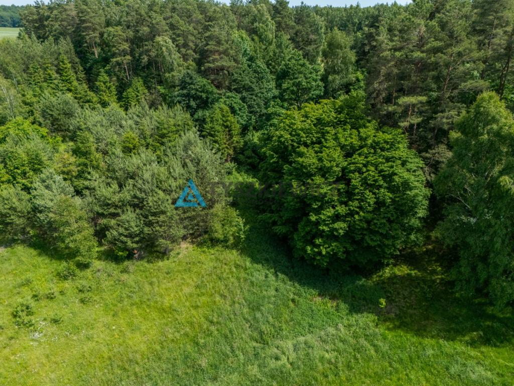 Działka budowlana w okolicy Przywidza - zdjęcie 6