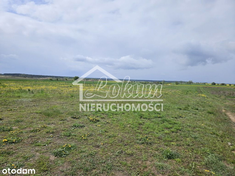 Działka budowlana 1000&nbsp;m², Moryń - zdjęcie 17