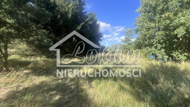 Działka budowlana 3000 m², Tanowo - zdjęcie 5