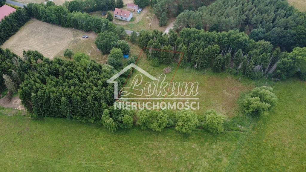 Działka budowlana 3000 m², Tanowo - zdjęcie 5