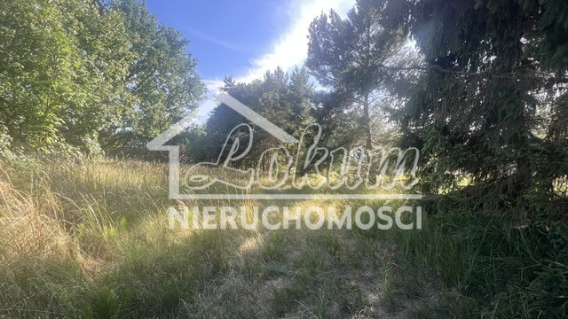 Działka budowlana 3000 m², Tanowo - zdjęcie 4