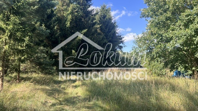 Działka budowlana 3000 m², Tanowo - zdjęcie 2