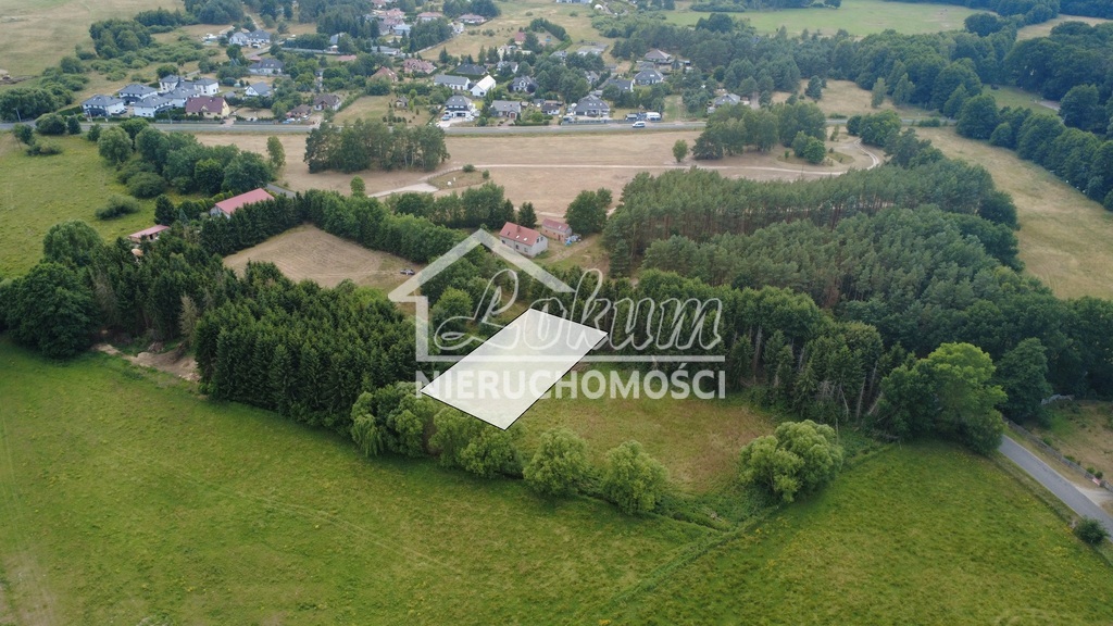 Działka budowlana 3000 m², Tanowo - zdjęcie 6
