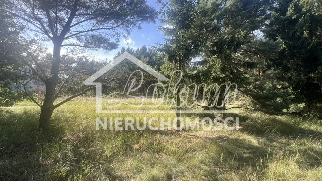 Działka budowlana 3000 m², Tanowo - zdjęcie 3
