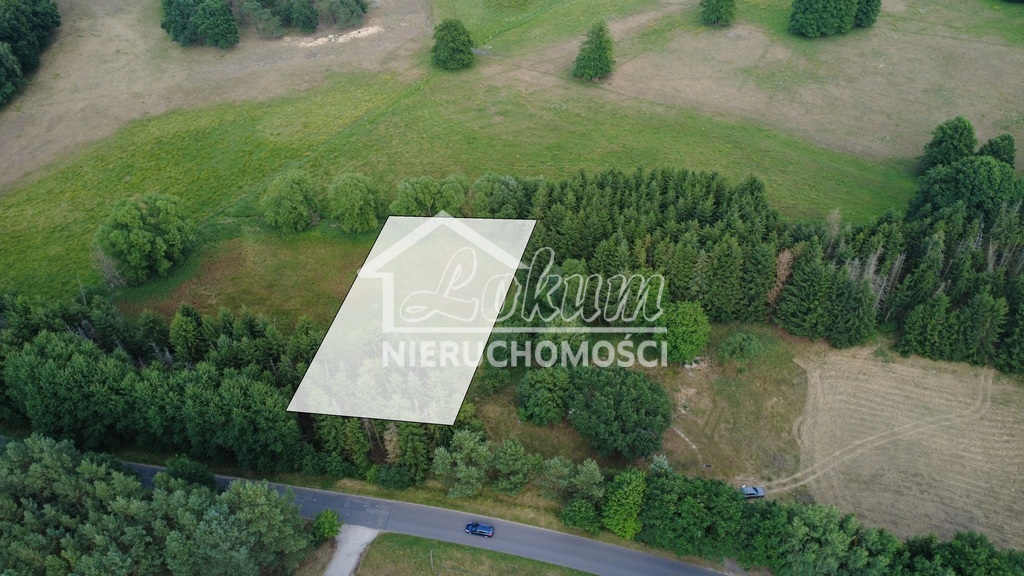 Działka budowlana 3000 m², Tanowo - zdjęcie 4