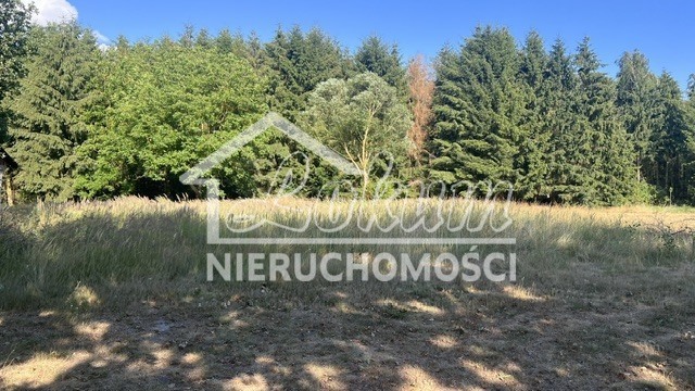 Działka budowlana 3000 m², Tanowo - zdjęcie 1