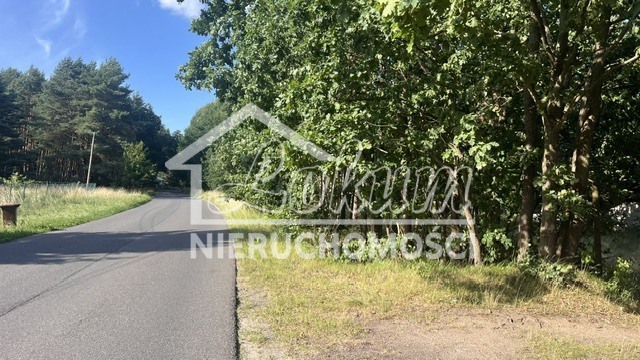 Działka budowlana 3000 m², Tanowo - zdjęcie 6
