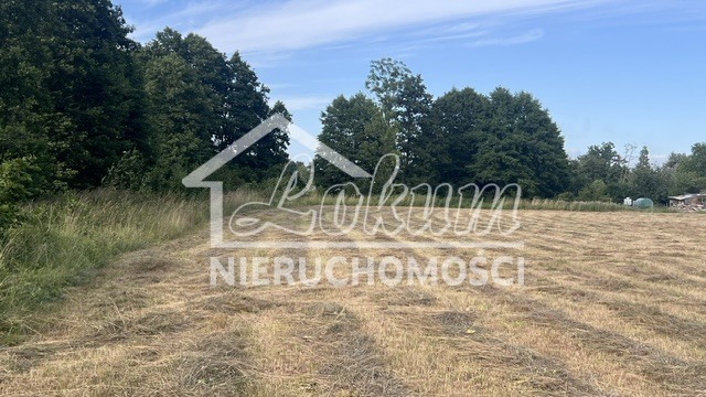 Działka budowlana 2507 m², Tatynia - zdjęcie 3