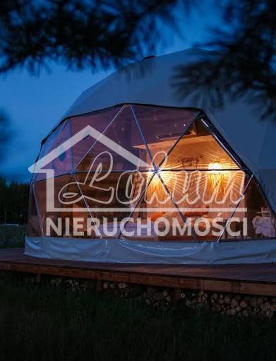 Działka rekreacyjna 6087&nbsp;m², Wierzbno - zdjęcie 3