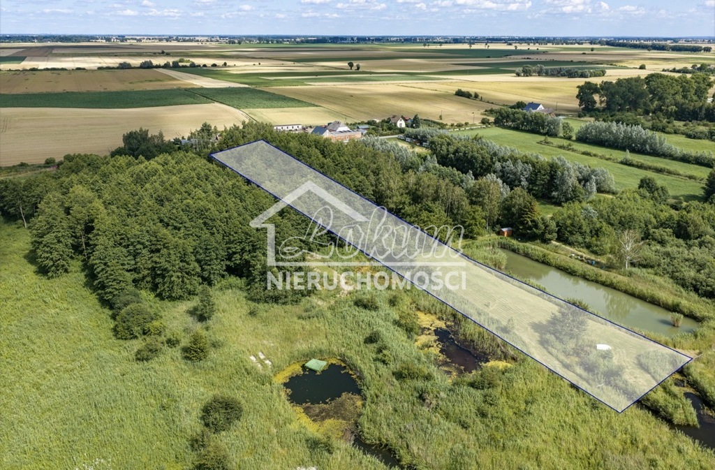 Działka rekreacyjna 6087&nbsp;m², Wierzbno - zdjęcie 6