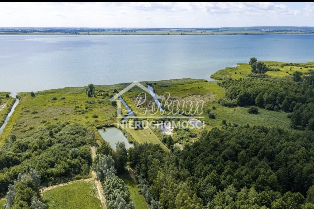 Działka rekreacyjna 6087&nbsp;m², Wierzbno - zdjęcie 7