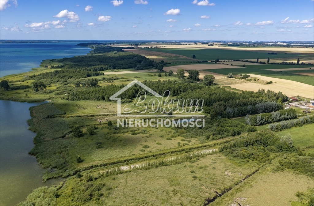 Działka rekreacyjna 6087&nbsp;m², Wierzbno - zdjęcie 5