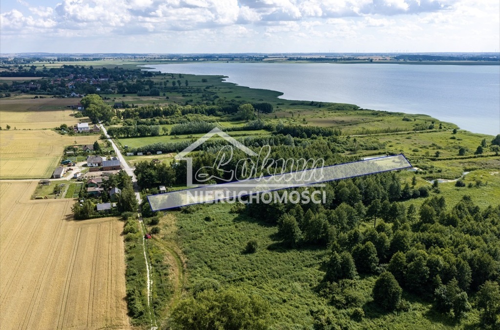 Działka rekreacyjna 6087&nbsp;m², Wierzbno - zdjęcie 4