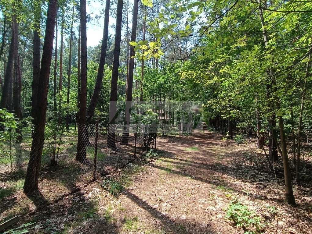 Działka rolna 1666 m², Siestrzeń - zdjęcie 3