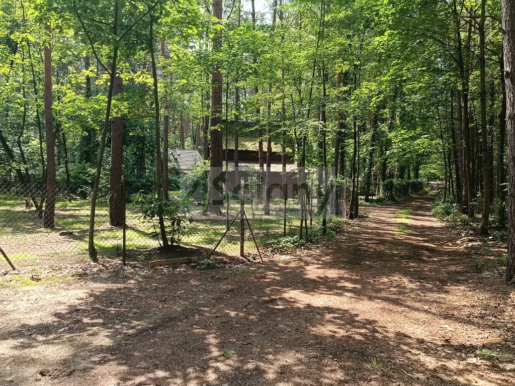 Działka rolna 1666 m², Siestrzeń - zdjęcie 4