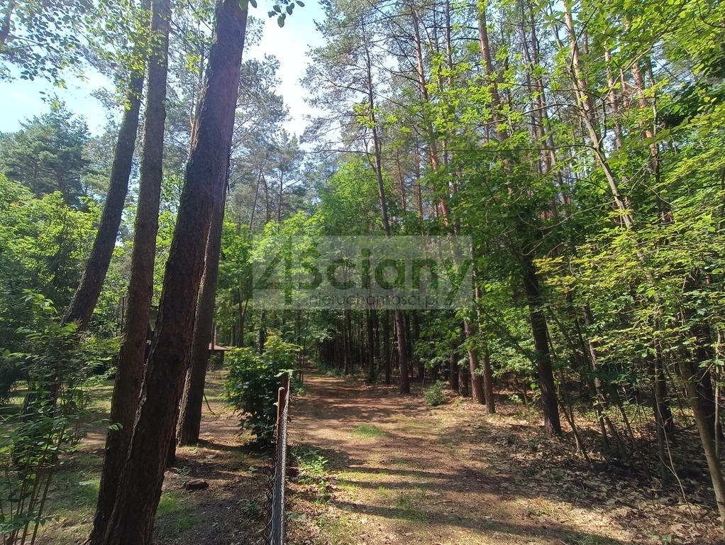 Działka rolna 1666 m², Siestrzeń - zdjęcie 1