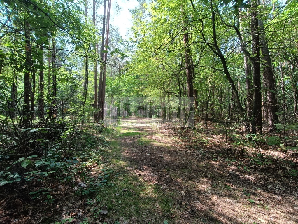 Działka rolna 1666 m², Siestrzeń - zdjęcie 9