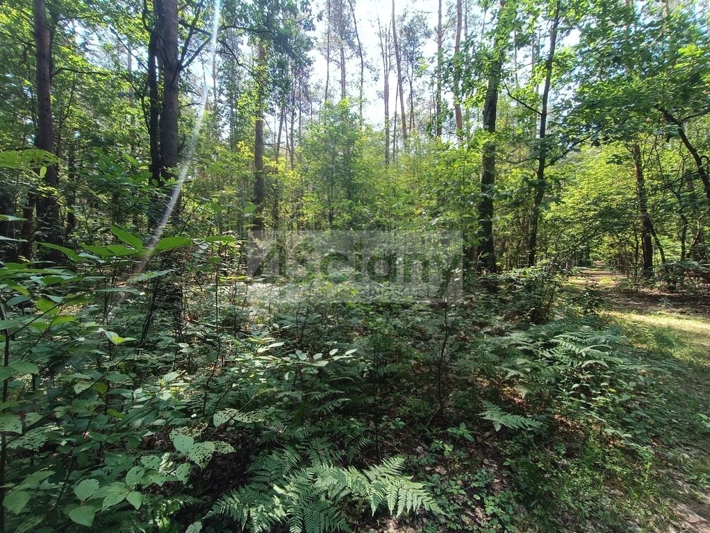 Działka rolna 1666 m², Siestrzeń - zdjęcie 7