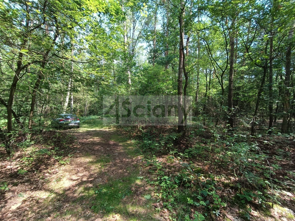 Działka rolna 1666 m², Siestrzeń - zdjęcie 6