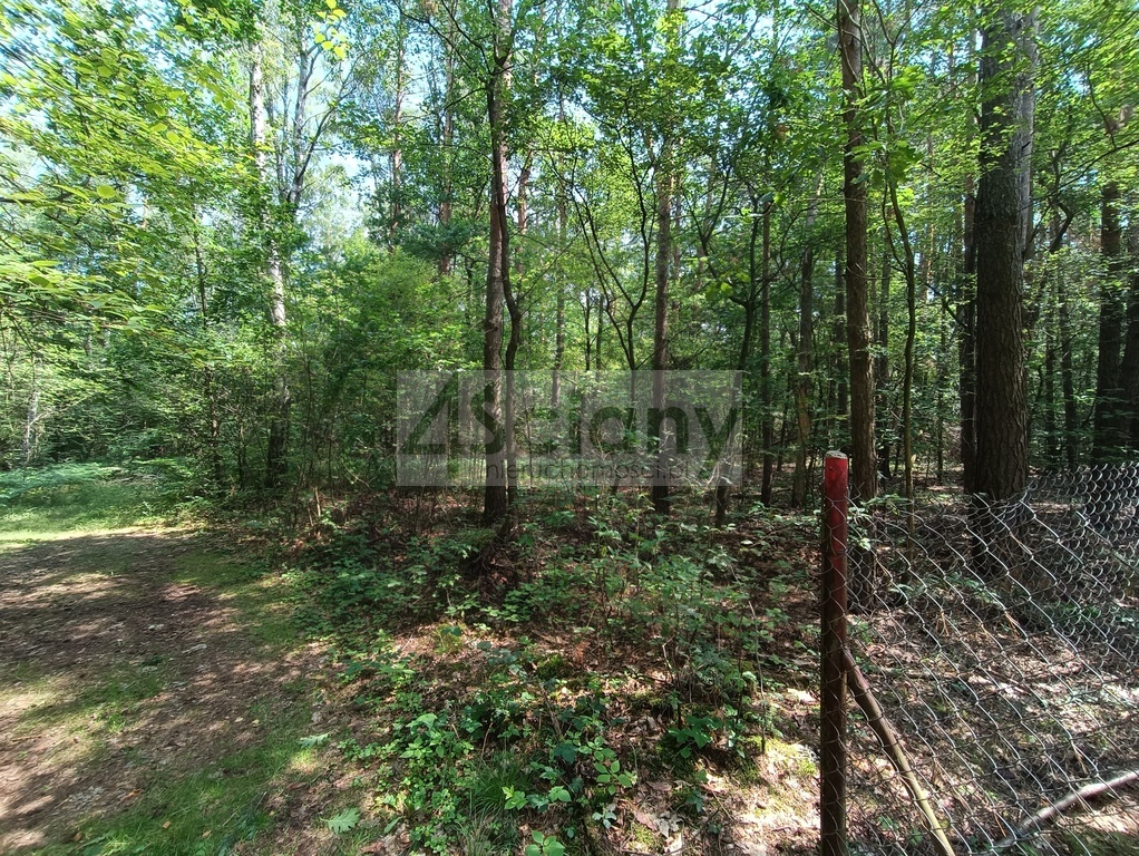 Działka rolna 1666 m², Siestrzeń - zdjęcie 5