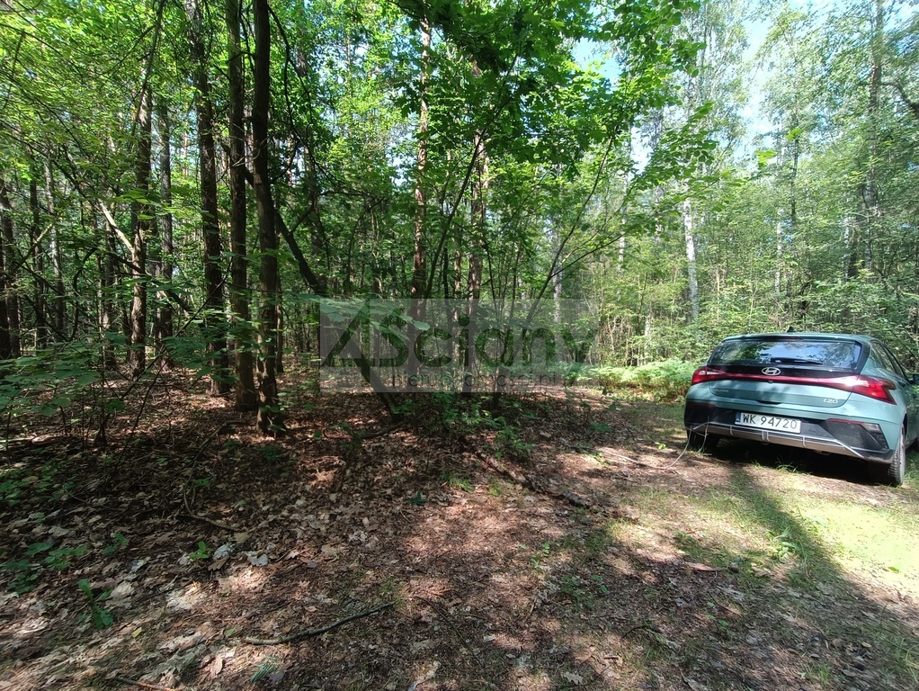 Działka rolna 1666 m², Siestrzeń - zdjęcie 10