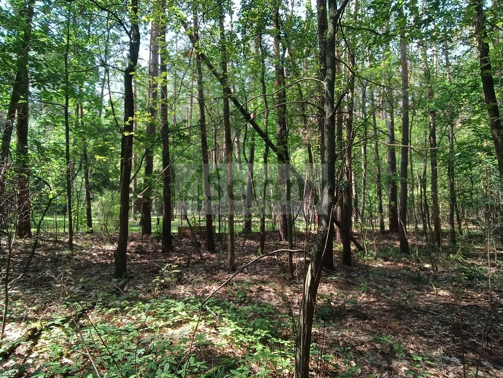 Działka rolna 1666 m², Siestrzeń - zdjęcie 12