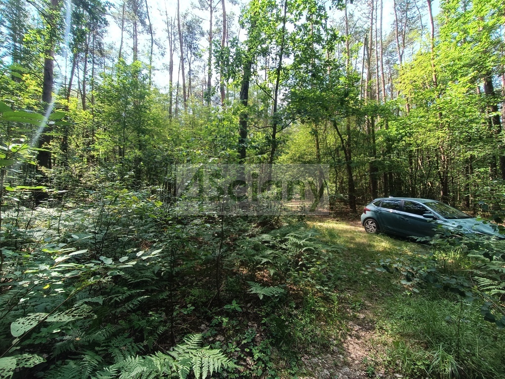 Działka rolna 1666 m², Siestrzeń - zdjęcie 8
