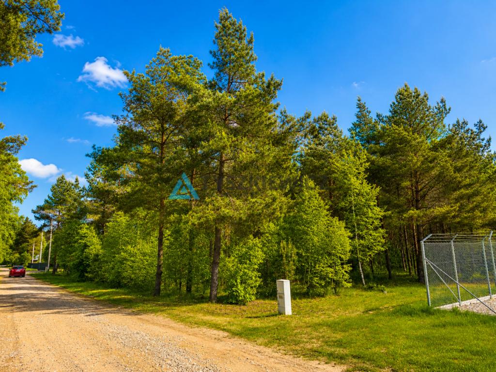 DZIAŁKA NAD JEZIOREM | PnB NA HOTEL | 1 HA - zdjęcie 5