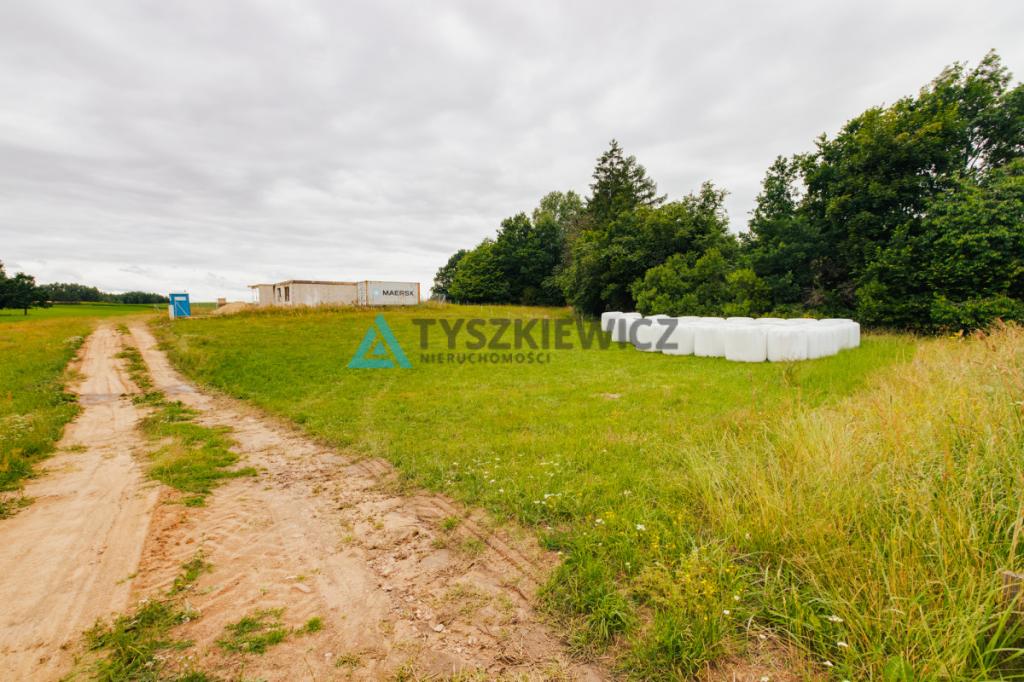 Łebno| działka 1005 m2|spokojna okolica - zdjęcie 6