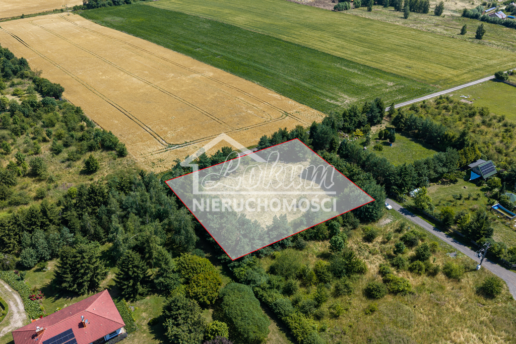 Działka budowlana 2278 m², Smolęcin - zdjęcie 3