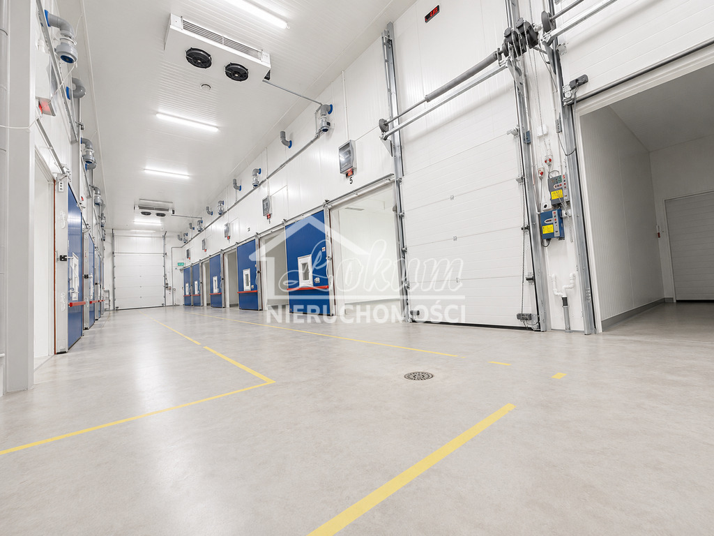 Lokal usługowy na sprzedaż, 1200 m², Siwkowice - zdjęcie 6