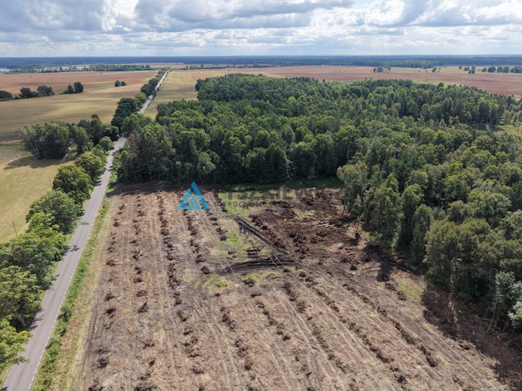 Działki pod lasem w Miłocicach - zdjęcie 15