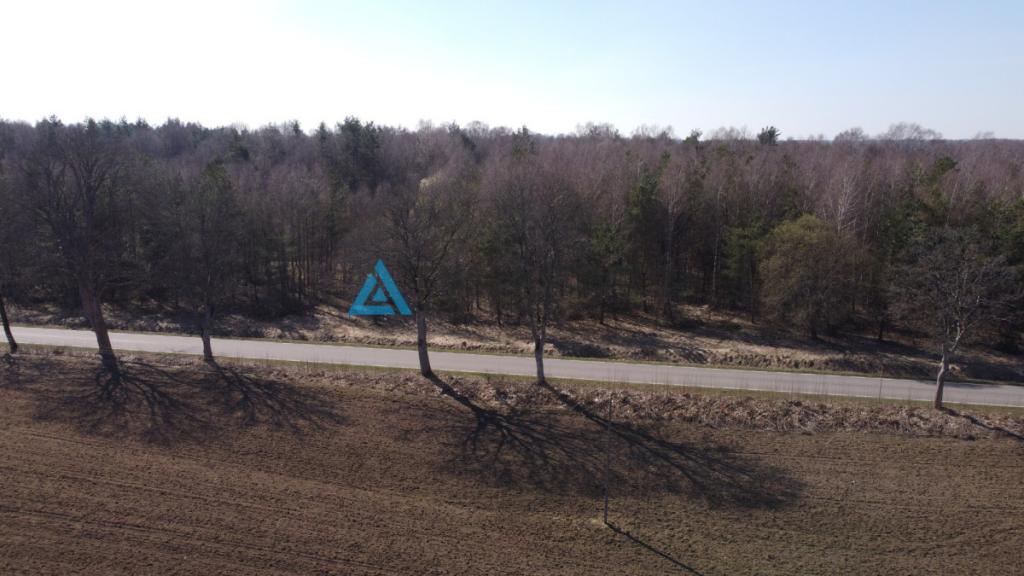 Działki pod lasem w Miłocicach - zdjęcie 22