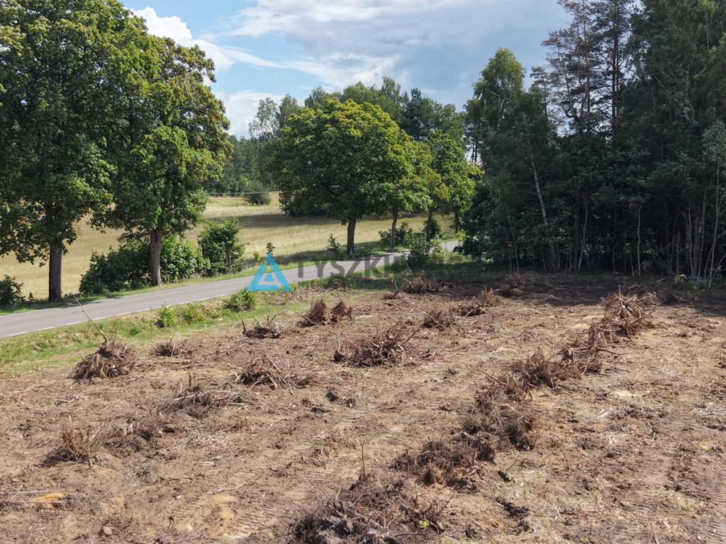 Działki pod lasem w Miłocicach - zdjęcie 7