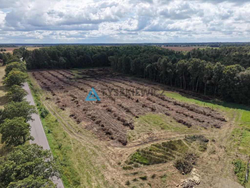 Działki pod lasem w Miłocicach - zdjęcie 3