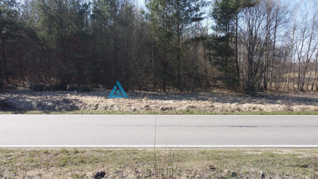 Działki pod lasem w Miłocicach - zdjęcie 29