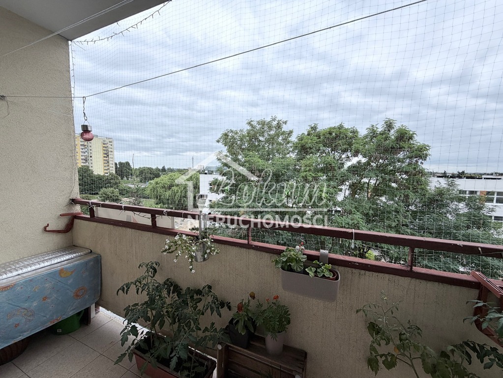 Mieszkanie 48,35&nbsp;m², Szczecin, Świerczewo, Jodłowa - zdjęcie 14