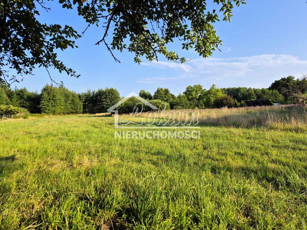 Działka rolna 997&nbsp;m², Niekłończyca - zdjęcie 2