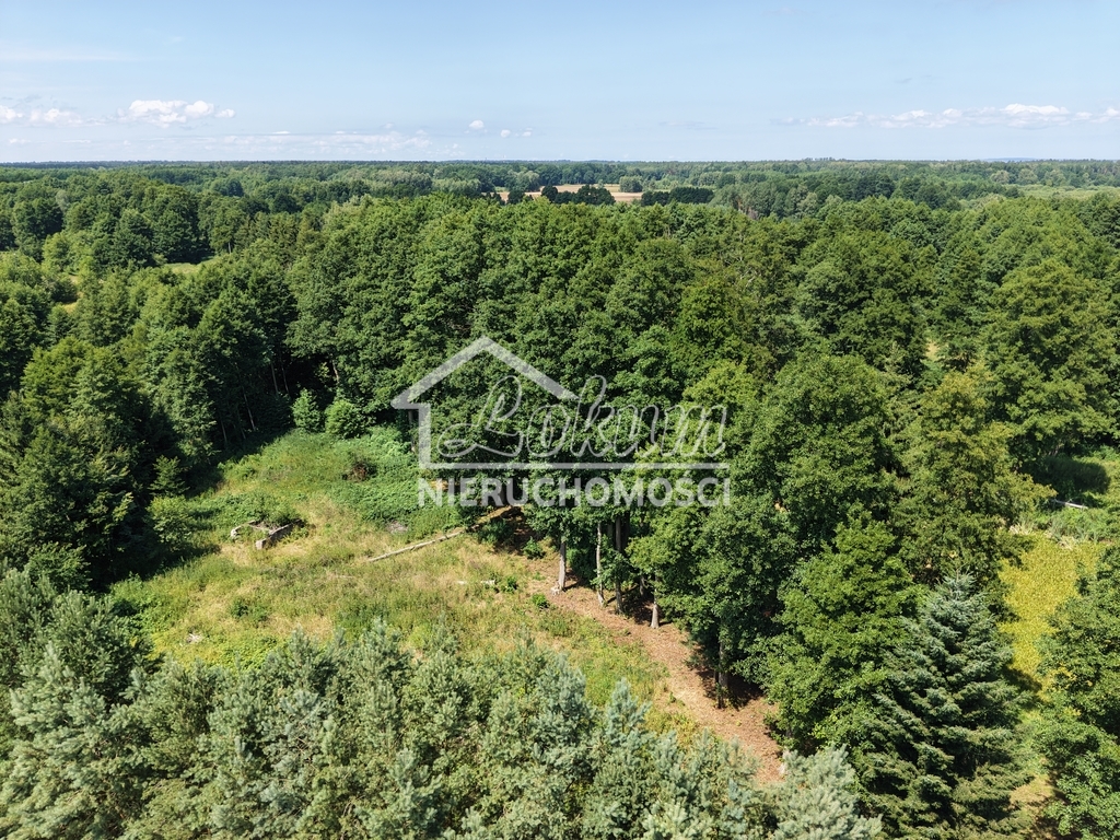Działka budowlana 1,28&nbsp;ha, Uniemyśl - zdjęcie 8