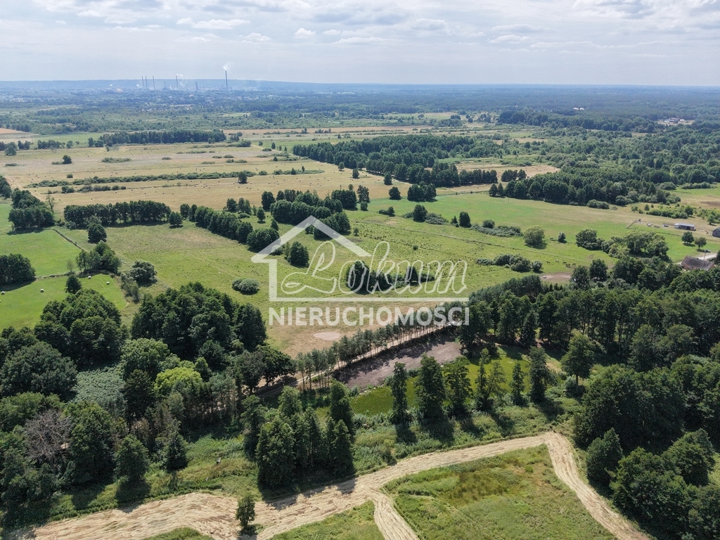 Działka budowlana 1,28&nbsp;ha, Uniemyśl - zdjęcie 5