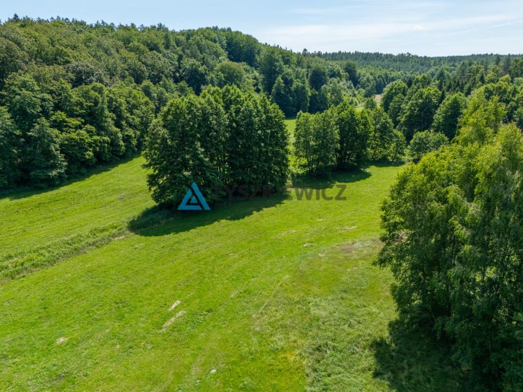 Dwie działki otoczone Lasami Państwowymi - zdjęcie 7