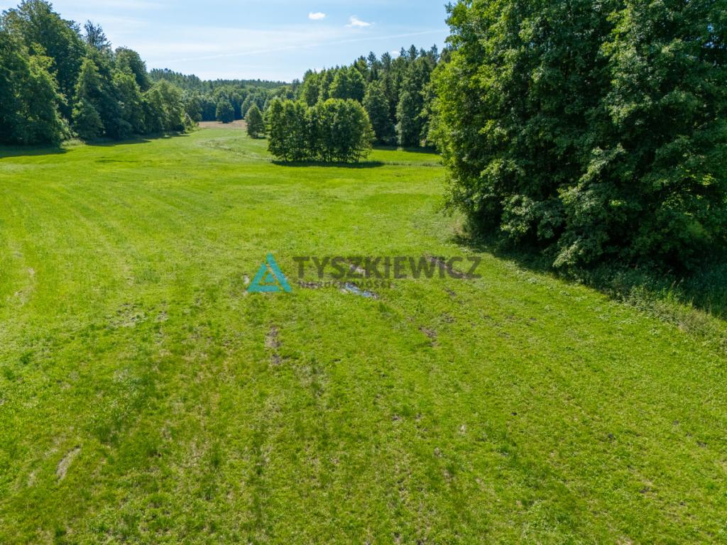 Dwie działki otoczone Lasami Państwowymi - zdjęcie 18