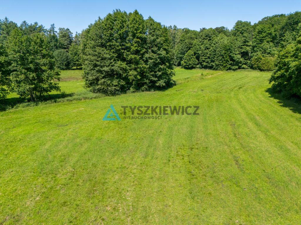 Dwie działki otoczone Lasami Państwowymi - zdjęcie 16
