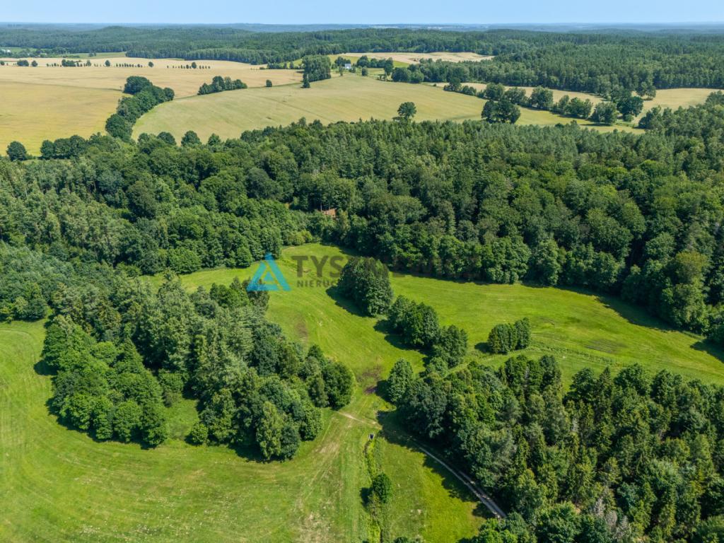 Dwie działki otoczone Lasami Państwowymi - zdjęcie 12