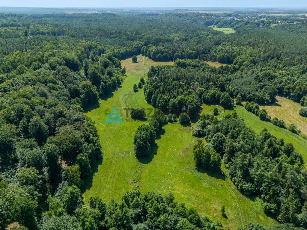 Dwie działki otoczone Lasami Państwowymi - zdjęcie 10