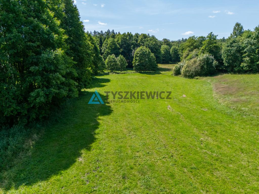 Dwie działki otoczone Lasami Państwowymi - zdjęcie 17