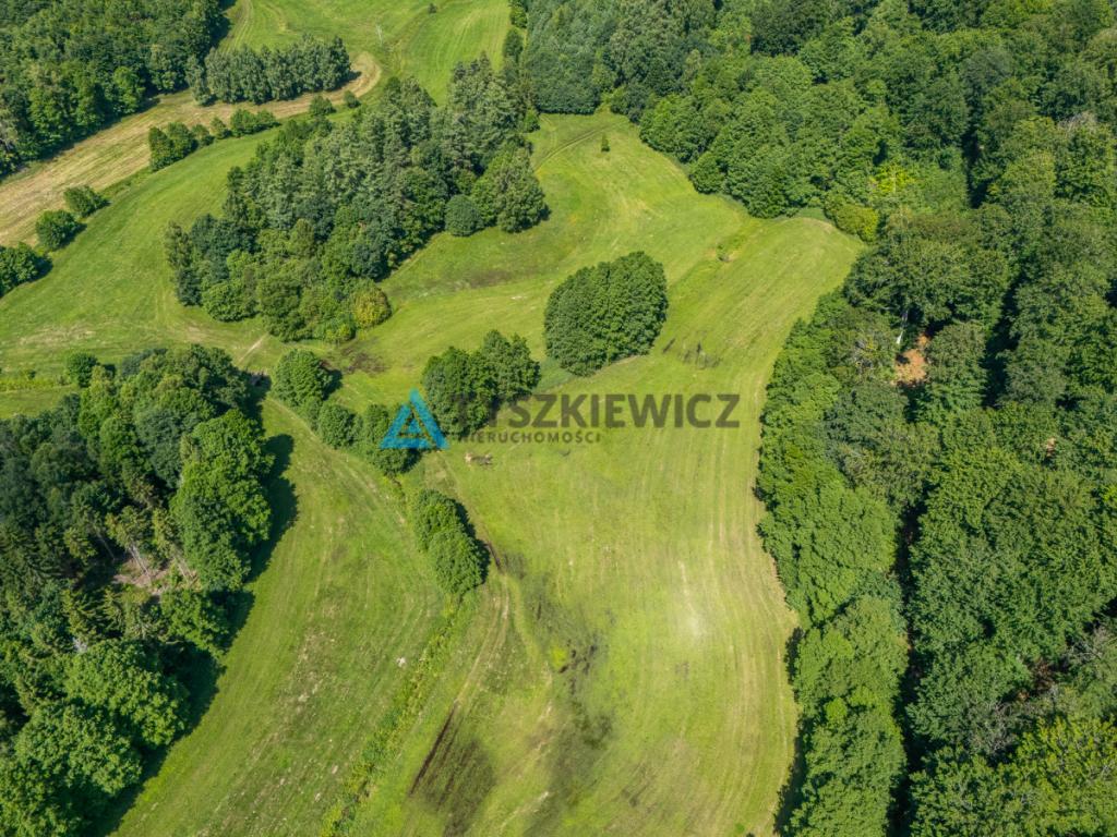 Dwie działki otoczone Lasami Państwowymi - zdjęcie 3
