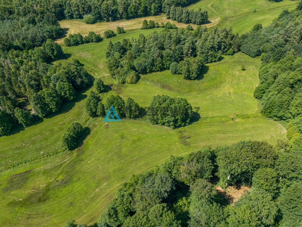 Dwie działki otoczone Lasami Państwowymi - zdjęcie 15