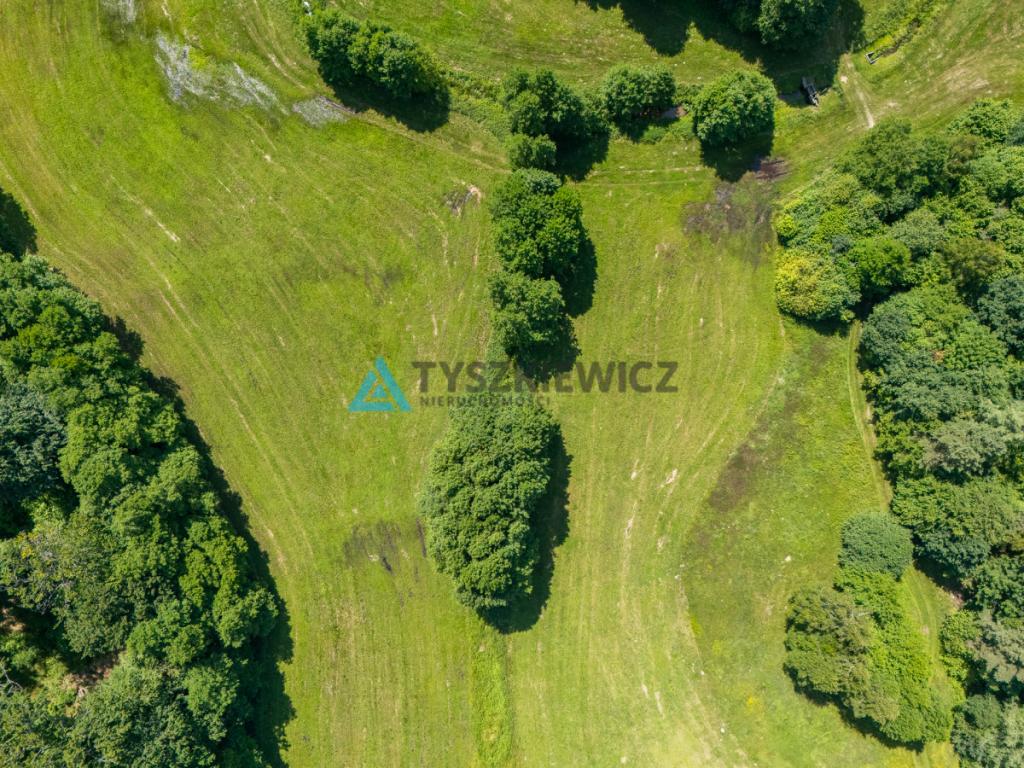 Dwie działki otoczone Lasami Państwowymi - zdjęcie 5